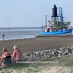 Penthouse De Ool Blick Auf Wattenmeer Daire *