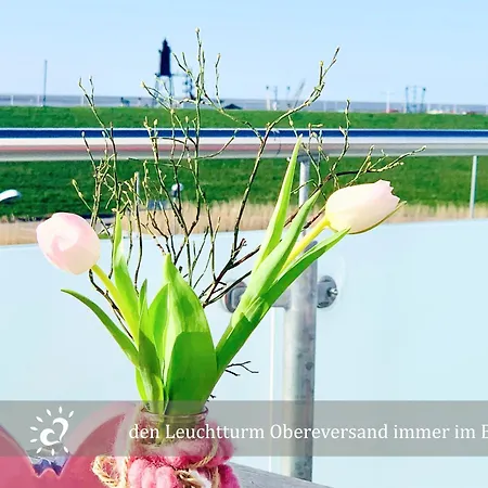 Penthouse De Ool Blick Auf Wattenmeer Daire Neufeld (Schleswig-Holstein)