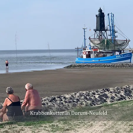 Penthouse De Ool Blick Auf Wattenmeer Apartman *