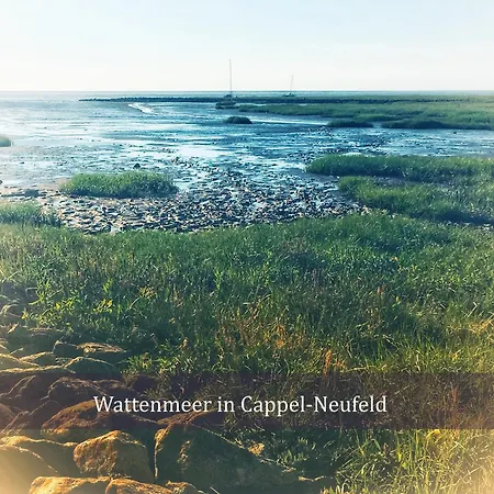 Penthouse De Ool Blick Auf Wattenmeer Apartman *