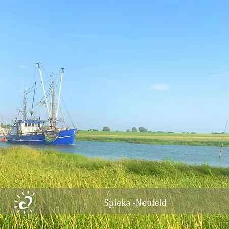 Apartman Penthouse De Ool Blick Auf Wattenmeer *